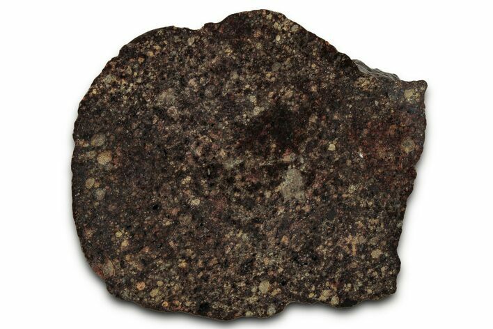 Chondrite Meteorite Section ( g) - NWA #347097